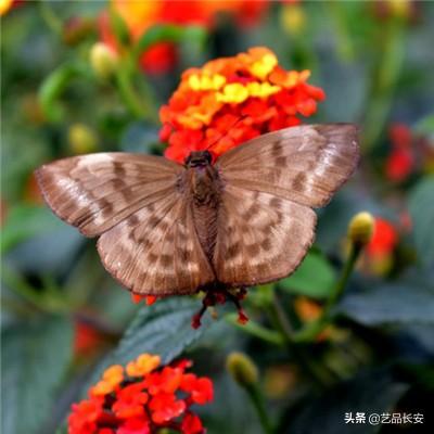 香港日增病例呈回落趋势 港大预测5月降至两位数