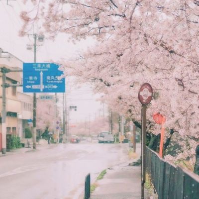 烟台机场恢复开通日本名古屋国际客运航线