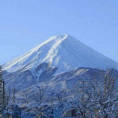 电子竞技让两岸青年交流更“来电”