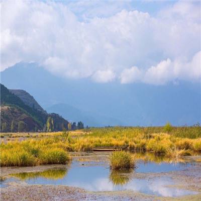 沪喀情谊跨山海 音乐共庆新中国成立75周年