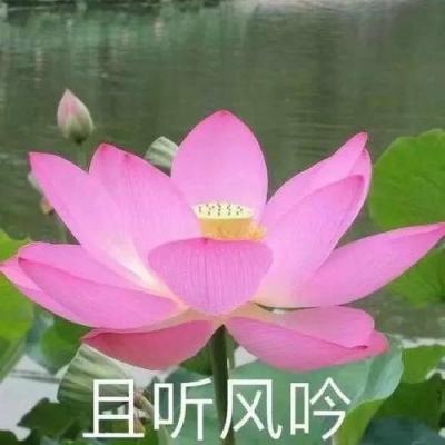 为了能够在战争中隐藏自己，他们发明了一种全球流行的颜色