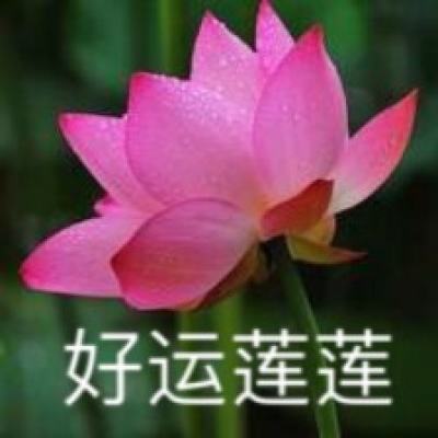 释放数实融合更大能量