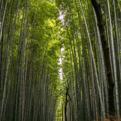 年度十大科学发现，“中国天眼”有功劳